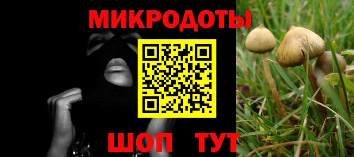 наркошоп  Вход с VPN  Киржач  Псилоцибиновые грибы Psilocybe 